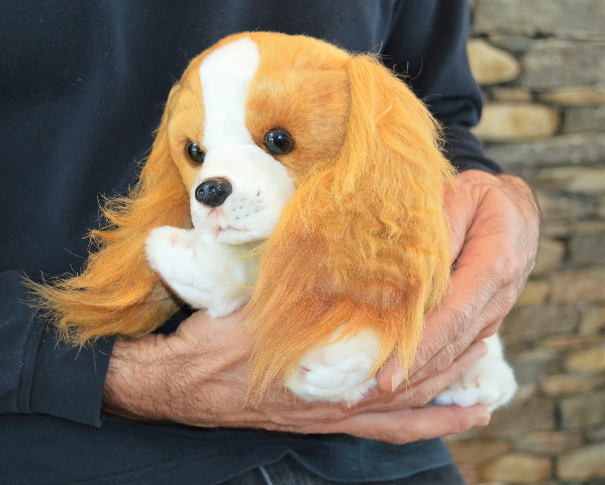 King Charles Cavalier Spaniel for People with Alzheimer's and Caregivers