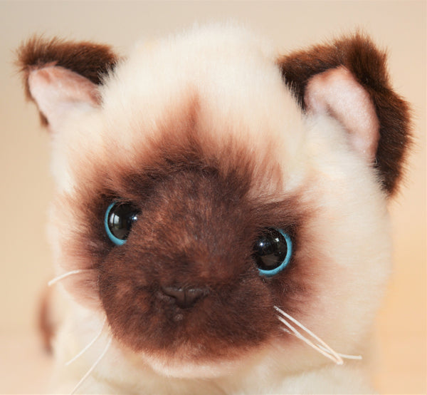 Small Siamese Cat Companion