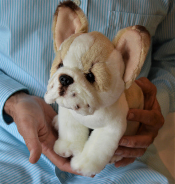 Small French Bulldog Puppy Companion