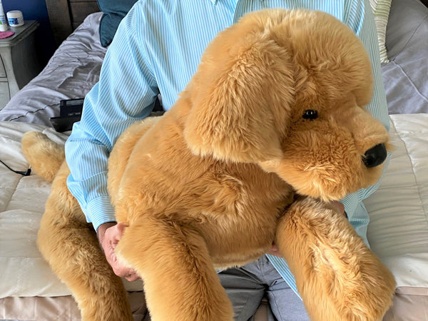 Huge Golden Retriever Dog Companion- SPECIAL ORDER