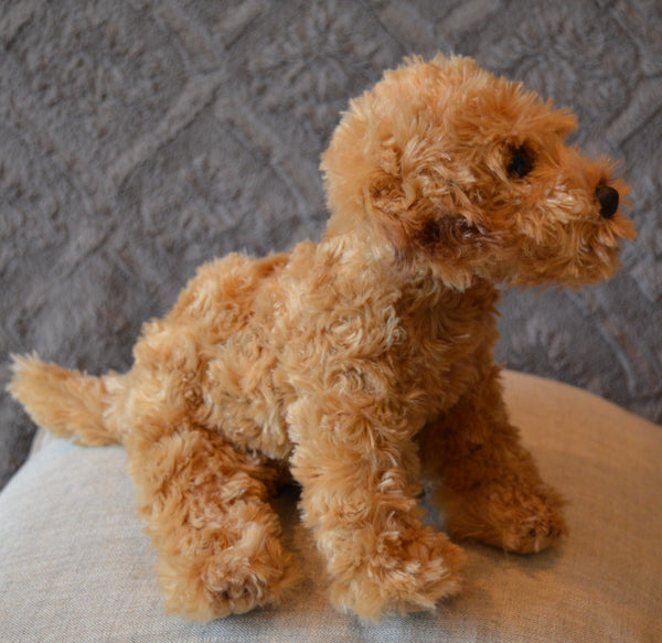 Labradoodle Puppy for People with Alzheimer's and Caregivers