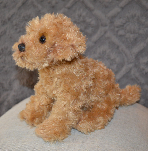 Labradoodle Puppy for People with Alzheimer's and Caregivers