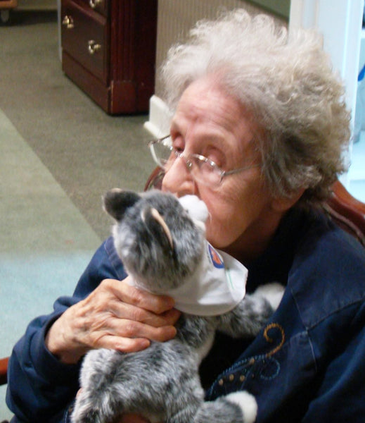 A- Pets 2 People - Our Program for Giving