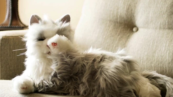 Joy For All- Robotic Silver Grey Cat Companion Pet