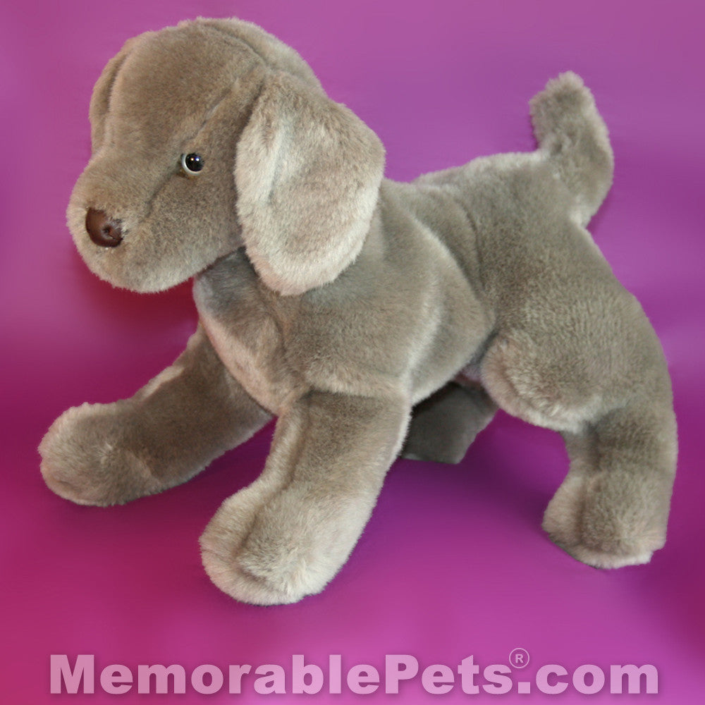 Weimaraner plush cheap