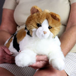 Calico Cat Gifts for Alzheimer's Patients