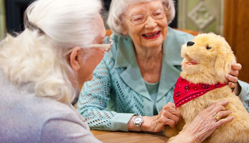 Joy for All Robotic Golden outlet Retriever Dog