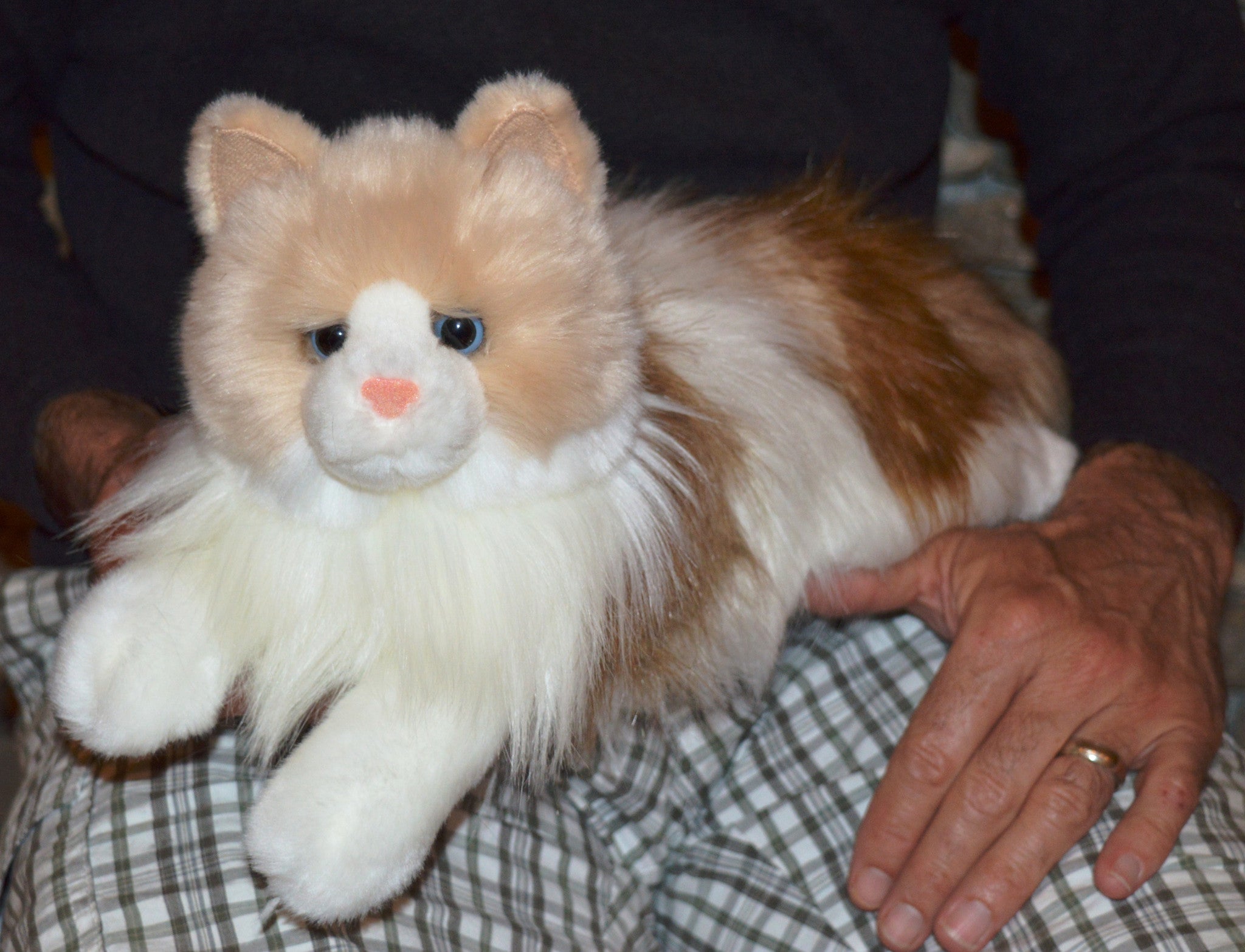 Large Stuffed Cat Plush Toy White Himalayan Birman Ragdoll Taylor