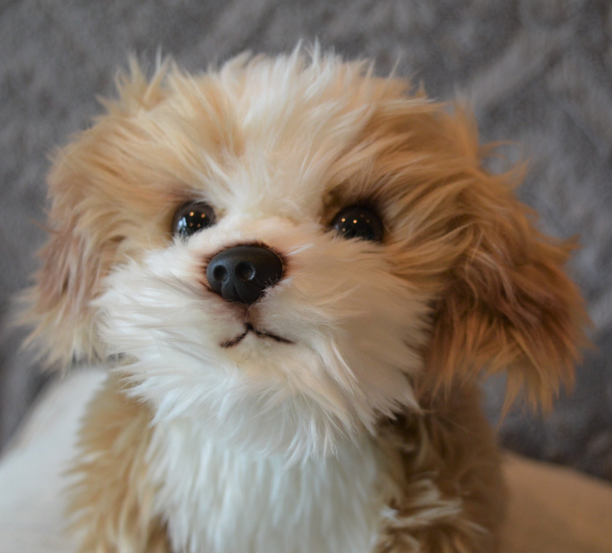 White maltipoo stuffed animal hot sale